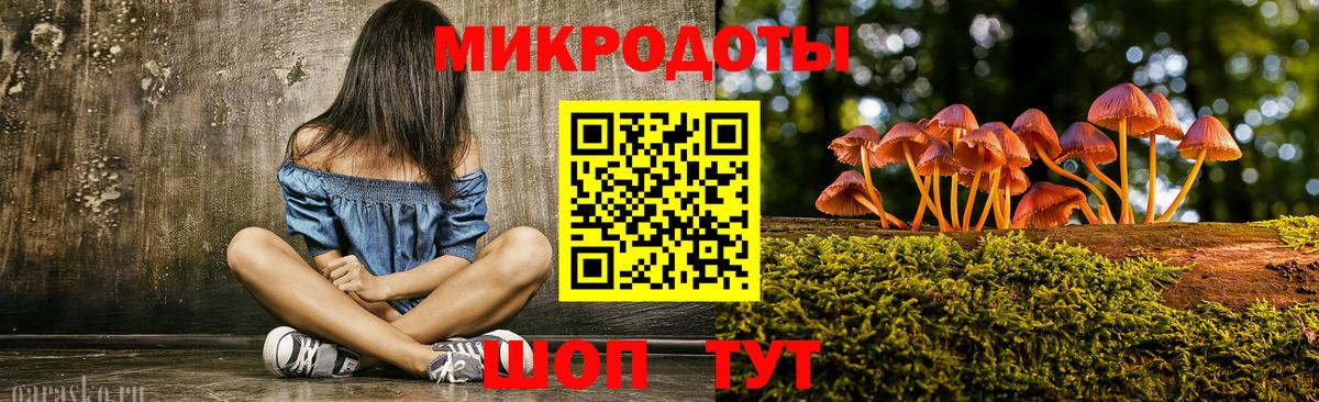 Галлюциногенные грибы Psilocybe Моздок