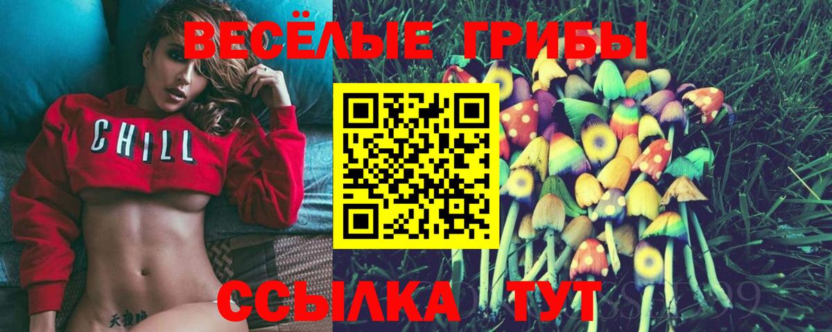 Моздок  Псилоцибиновые грибы GOLDEN TEACHER  Галлюциногенные грибы мухоморы  Вход с VPN 